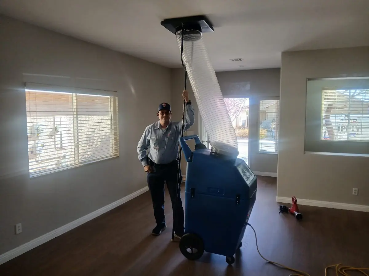 Professional Dryer Vent Cleaning work inside a Wesley Hills home